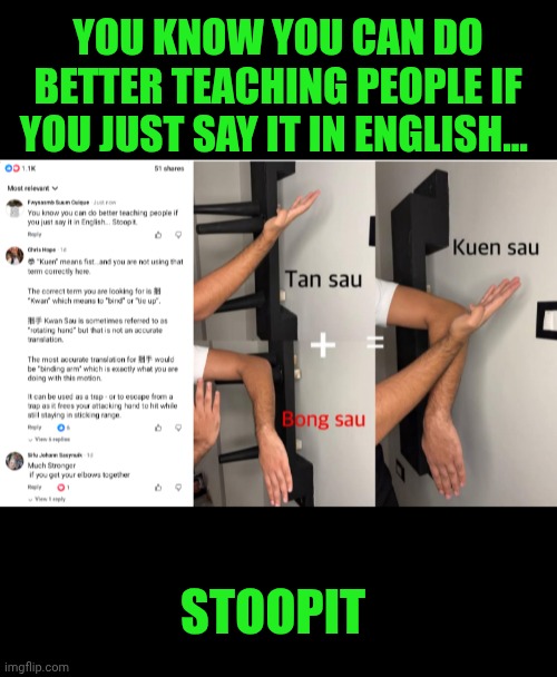 Funny | YOU KNOW YOU CAN DO BETTER TEACHING PEOPLE IF YOU JUST SAY IT IN ENGLISH... STOOPIT | image tagged in funny,kung fu,martial arts,teaching,language,you've been invited to dumbass university | made w/ Imgflip meme maker