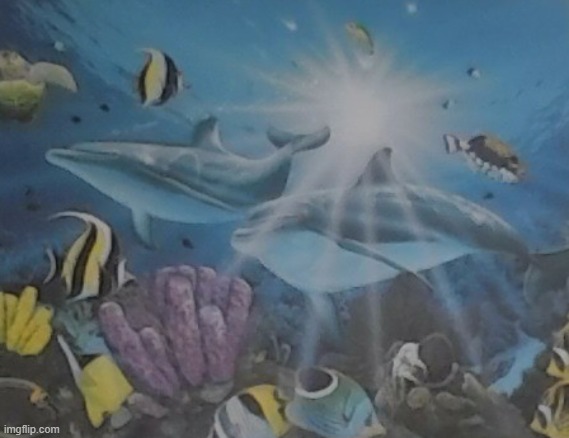 how it feels alt | image tagged in how it feels alt | made w/ Imgflip meme maker