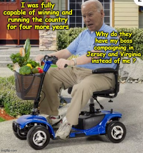 Same goes for Harris BTW | I was fully capable of winning and running the country for four more years; Why do they have my boss campaigning in Jersey and Virginia instead of me ? | image tagged in biden campaigning meme | made w/ Imgflip meme maker