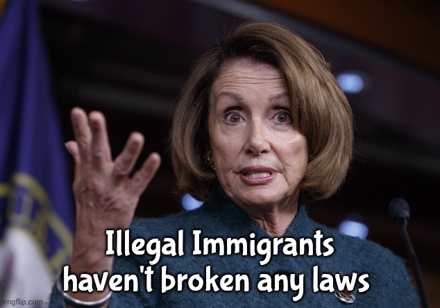 Good old Nancy Pelosi | Illegal Immigrants haven't broken any laws | image tagged in good old nancy pelosi | made w/ Imgflip meme maker