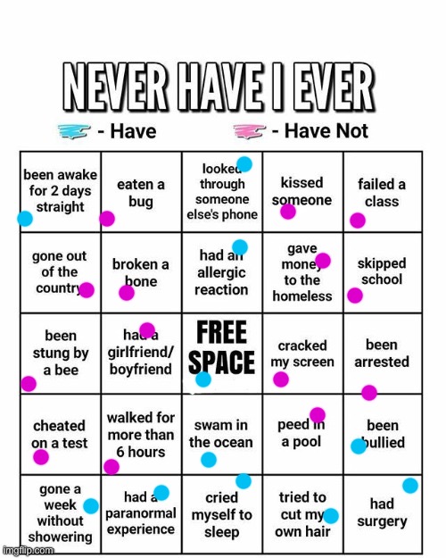dumb ass bingo | image tagged in never have i ever | made w/ Imgflip meme maker