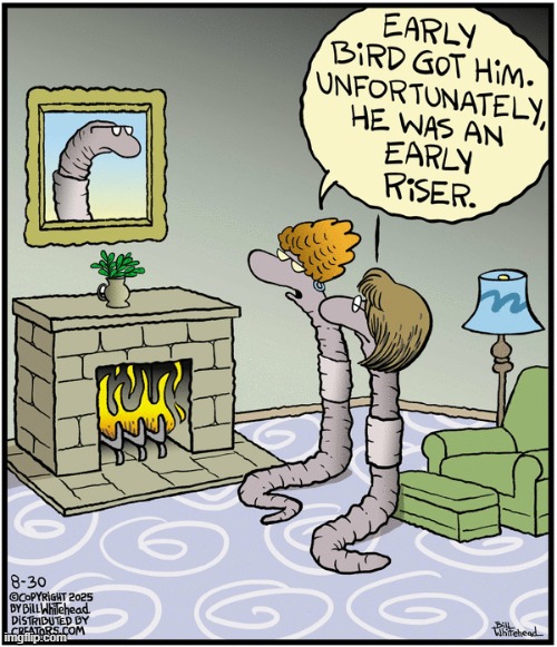 Free Range | image tagged in comics | made w/ Imgflip meme maker