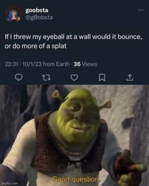 Personally, I think it would bounce. | image tagged in shrek good question | made w/ Imgflip meme maker