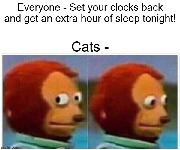 Cats | Everyone - Set your clocks back and get an extra hour of sleep tonight! Cats - | image tagged in memes,monkey puppet,fall back,cats,daylight savings time | made w/ Imgflip meme maker