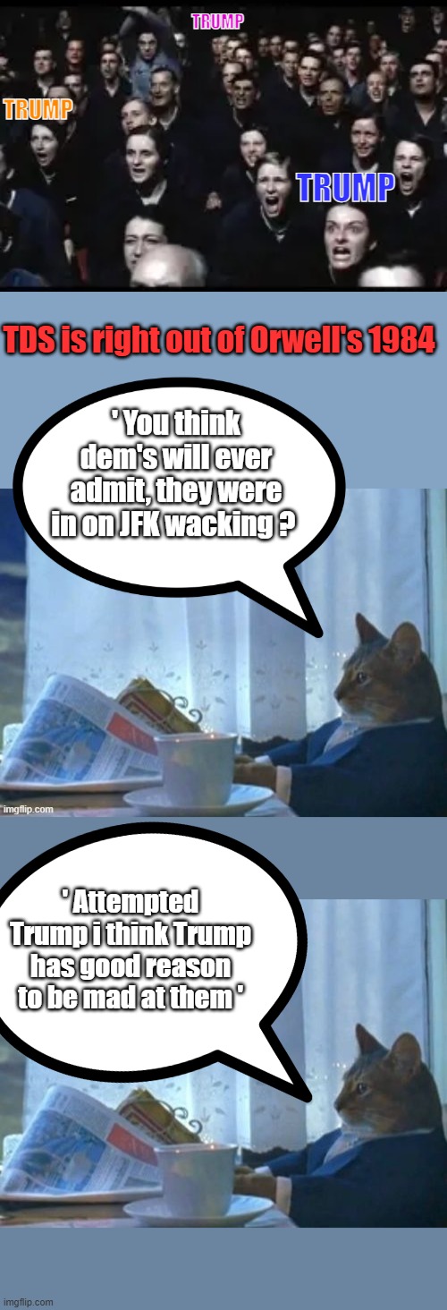 But its Trump hate 24/7 every day, most dems who are threating people can't walk a mile & can't see their toes. | TRUMP; TRUMP; TRUMP; TDS is right out of Orwell's 1984; ' Attempted Trump i think Trump has good reason to be mad at them ' | image tagged in memes,i should buy a boat cat | made w/ Imgflip meme maker