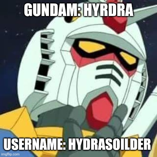 gundam | GUNDAM: HYRDRA USERNAME: HYDRASOILDER | image tagged in gundam | made w/ Imgflip meme maker