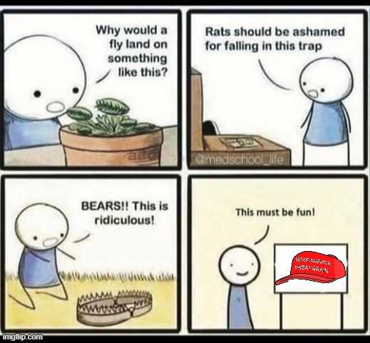 Blank trap meme | image tagged in sloth,template,bear memes,maga,idiocracy | made w/ Imgflip meme maker