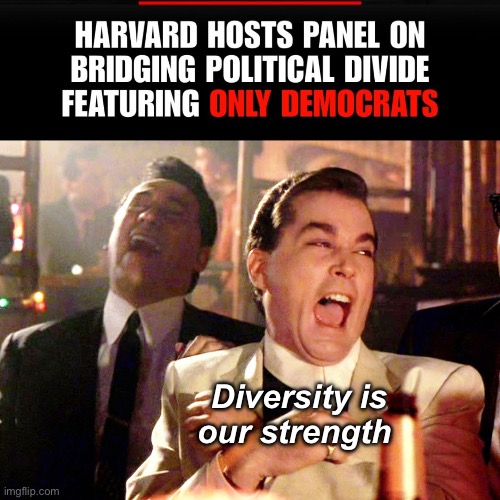 Diversity | Diversity is our strength | image tagged in memes,good fellas hilarious,politics lol,derp,liberal logic | made w/ Imgflip meme maker