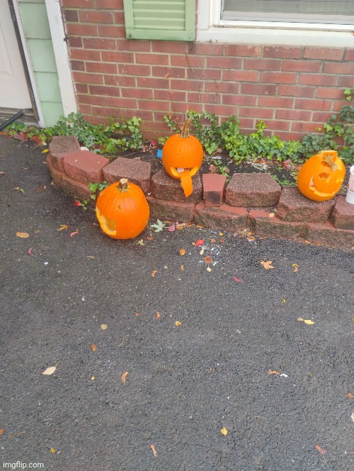 Pumpkins | made w/ Imgflip meme maker