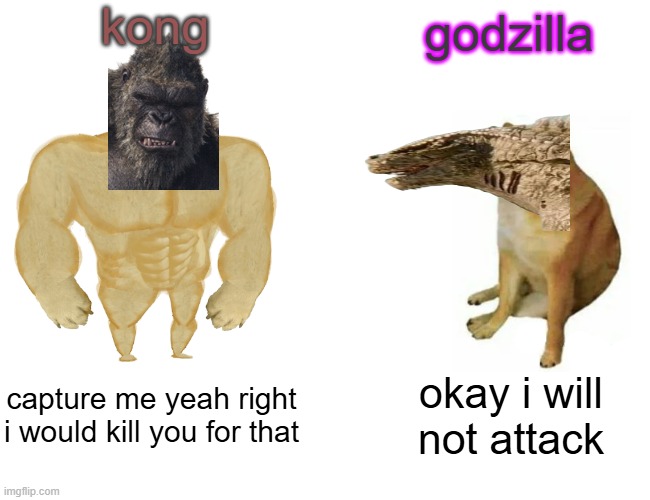 Buff Doge vs. Cheems Meme | kong; godzilla; capture me yeah right i would kill you for that; okay i will not attack | image tagged in memes,buff doge vs cheems | made w/ Imgflip meme maker