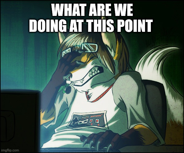 Furry facepalm | WHAT ARE WE DOING AT THIS POINT | image tagged in furry facepalm | made w/ Imgflip meme maker