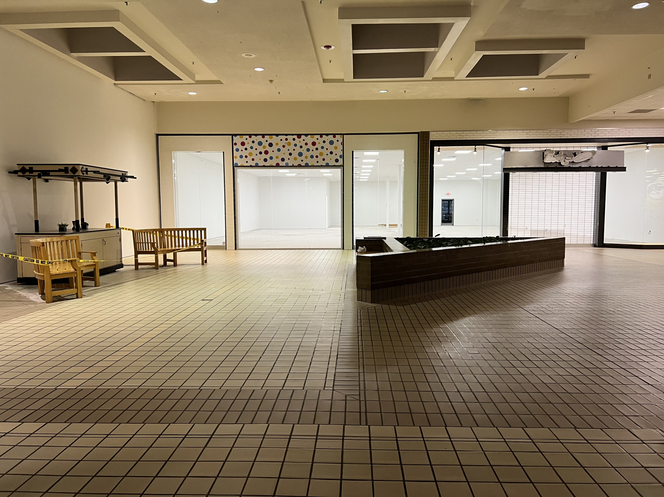 High Quality Nobody asked Blank Meme Template