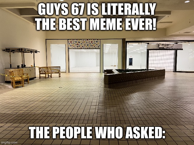 Freaking hate 67 | GUYS 67 IS LITERALLY THE BEST MEME EVER! THE PEOPLE WHO ASKED: | image tagged in nobody asked | made w/ Imgflip meme maker