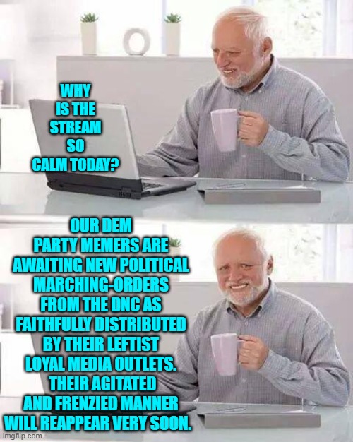 Just have patience.  Their collective hysteria will reappear very soon now. | WHY IS THE STREAM SO CALM TODAY? OUR DEM PARTY MEMERS ARE AWAITING NEW POLITICAL MARCHING-ORDERS FROM THE DNC AS FAITHFULLY DISTRIBUTED BY THEIR LEFTIST LOYAL MEDIA OUTLETS.  THEIR AGITATED AND FRENZIED MANNER WILL REAPPEAR VERY SOON. | image tagged in hide the pain harold | made w/ Imgflip meme maker