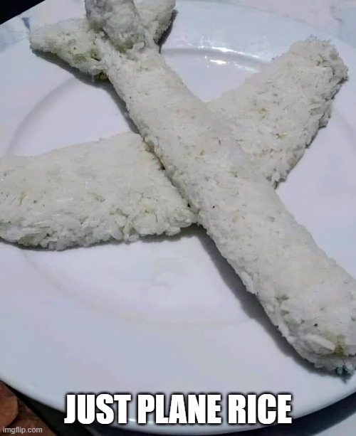 Plane Rice | JUST PLANE RICE | image tagged in funny,memes | made w/ Imgflip meme maker