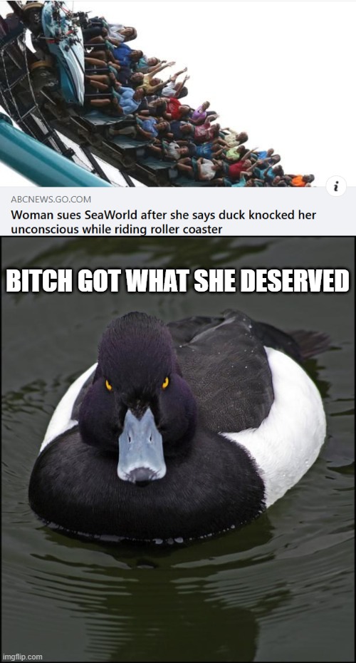 Duck Hit | BITCH GOT WHAT SHE DESERVED | image tagged in angry duck | made w/ Imgflip meme maker