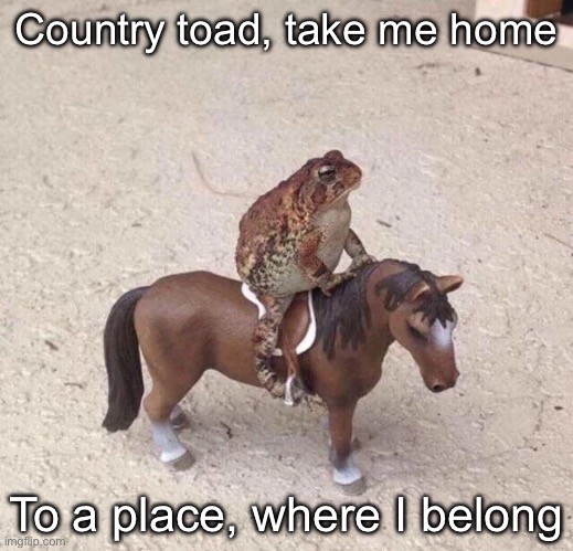 Country Toad | Country toad, take me home; To a place, where I belong | image tagged in country,toad,road,west virginia,country music,john denver | made w/ Imgflip meme maker