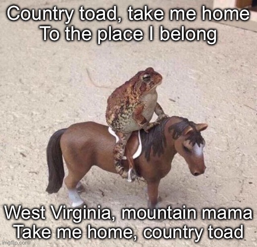 Country Roads | Country toad, take me home
To the place I belong; West Virginia, mountain mama
Take me home, country toad | image tagged in country,country music,west virginia,toad,roads | made w/ Imgflip meme maker