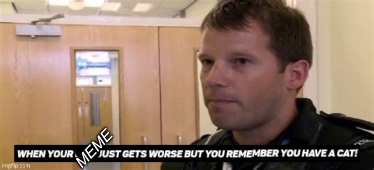 Meme gets worse | MEME | image tagged in when your life just gets worse but you remember you have a cat,memes | made w/ Imgflip meme maker