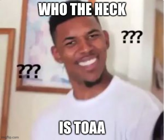 i just joined imgflip who the heck is toaa | WHO THE HECK; IS TOAA | image tagged in nick young | made w/ Imgflip meme maker