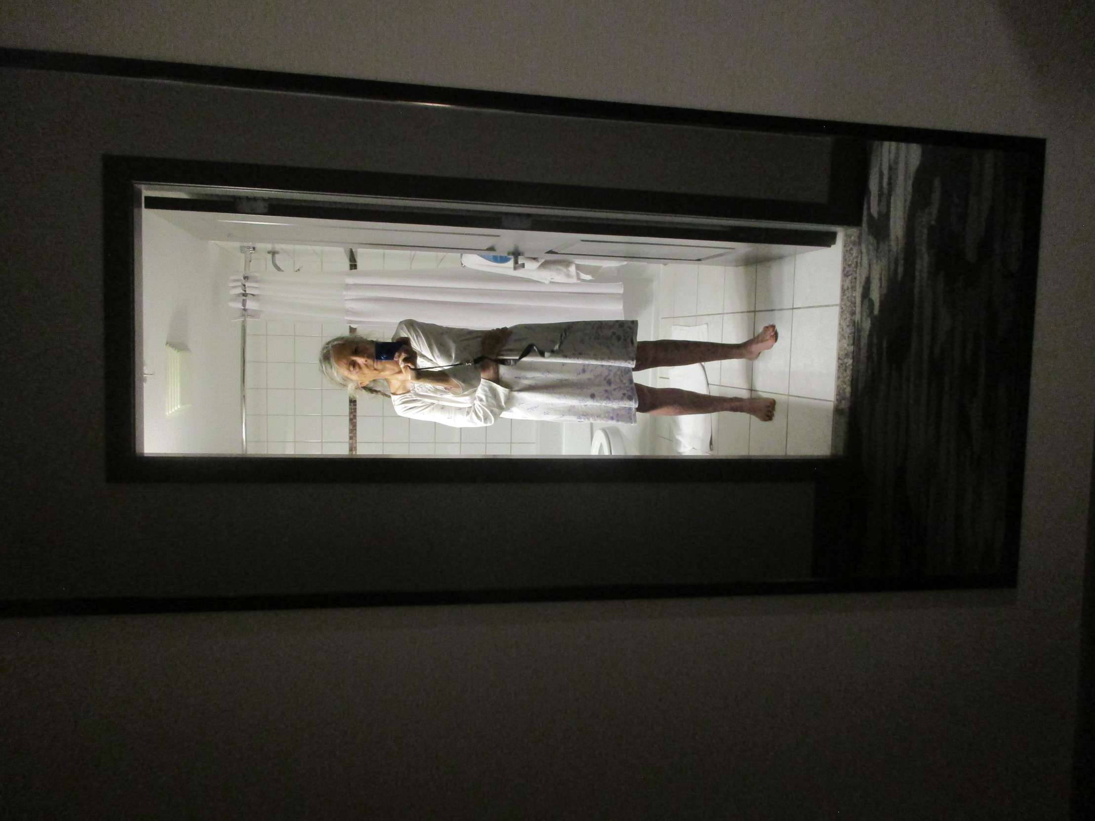 Mirror Blank Meme Template