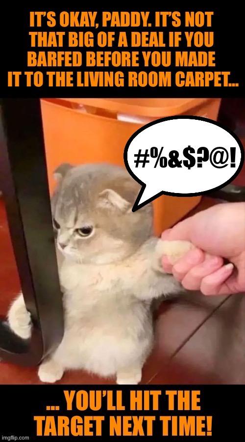 He’ll more than make up for it… | #%&$?@! | image tagged in cats,barf,missed the carpet,next time,paddy,mad | made w/ Imgflip meme maker
