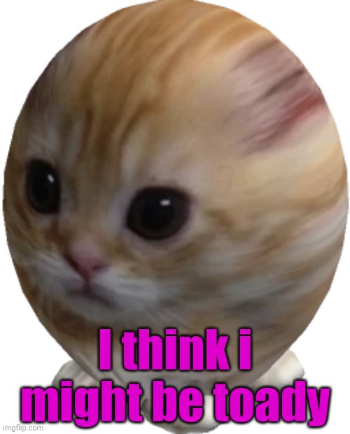 I hope no one finds out. | I think i might be toady | image tagged in egg gato | made w/ Imgflip meme maker