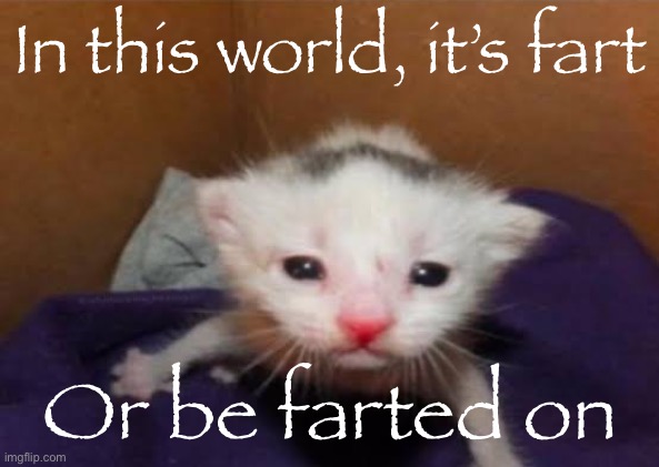 In this world, it’s fart; Or be farted on | made w/ Imgflip meme maker