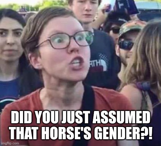 Angry Liberal | DID YOU JUST ASSUMED THAT HORSE'S GENDER?! | image tagged in angry liberal | made w/ Imgflip meme maker