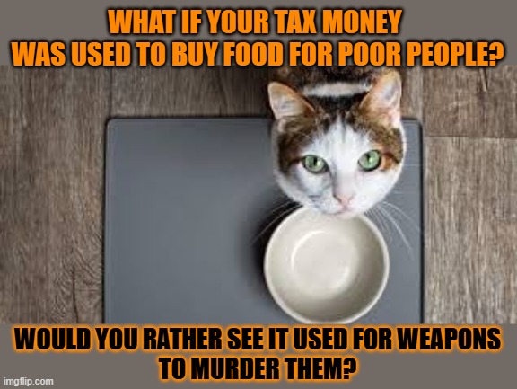 This #lolcat wonders if tax money should be used to feed or to bomb the poor | WHAT IF YOUR TAX MONEY 
WAS USED TO BUY FOOD FOR POOR PEOPLE? WOULD YOU RATHER SEE IT USED FOR WEAPONS
TO MURDER THEM? | image tagged in bomb,socialism,weapons,lolcat,snap,poverty | made w/ Imgflip meme maker