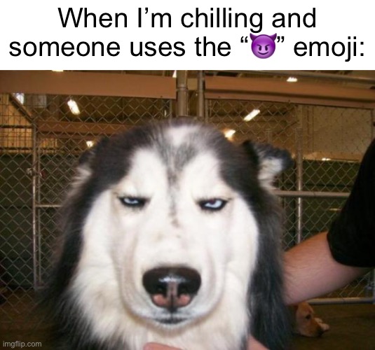 . | When I’m chilling and someone uses the “😈” emoji: | image tagged in annoyed dog | made w/ Imgflip meme maker