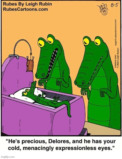 He looks just like you… | image tagged in repost,rubes,comics,alligators,baby,eyes | made w/ Imgflip meme maker