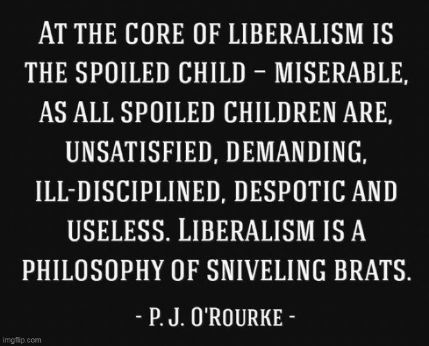 Triggered emotions leading to tantrums and not so peaceful protests... | image tagged in bitch,whine,complain,crying liberal,no respect,blame | made w/ Imgflip meme maker