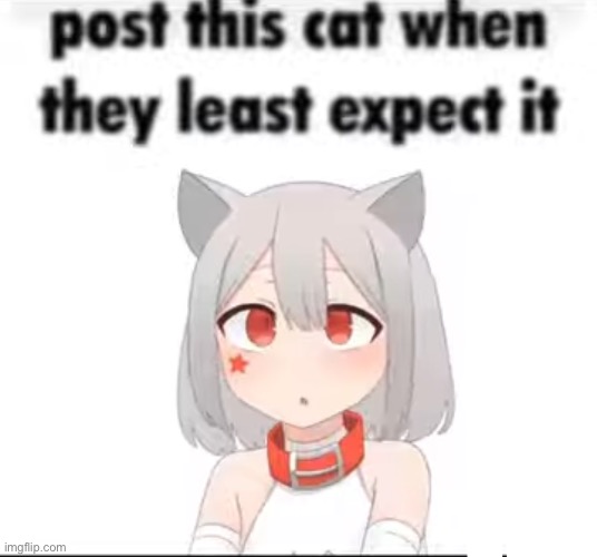 Hellcat | made w/ Imgflip meme maker