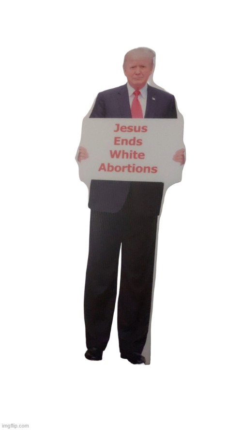 King Trump | image tagged in king trump | made w/ Imgflip meme maker