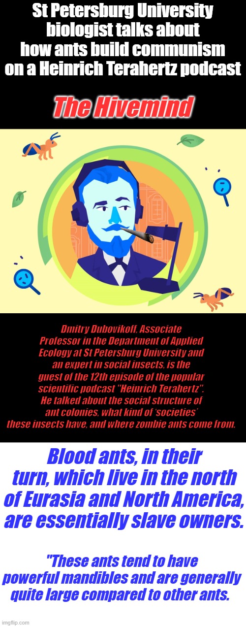 Even ant's own slaves. | St Petersburg University biologist talks about how ants build communism on a Heinrich Terahertz podcast; The Hivemind; Dmitry Dubovikoff, Associate Professor in the Department of Applied Ecology at St Petersburg University and an expert in social insects, is the guest of the 12th episode of the popular scientific podcast "Heinrich Terahertz". He talked about the social structure of ant colonies, what kind of ‘societies’ these insects have, and where zombie ants come from. Blood ants, in their turn, which live in the north of Eurasia and North America, are essentially slave owners. "These ants tend to have powerful mandibles and are generally quite large compared to other ants. | image tagged in blank white template | made w/ Imgflip meme maker
