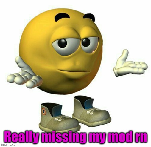 I Don't need it but I still wish I had it ngl | Really missing my mod rn | image tagged in emoji guy shrug | made w/ Imgflip meme maker