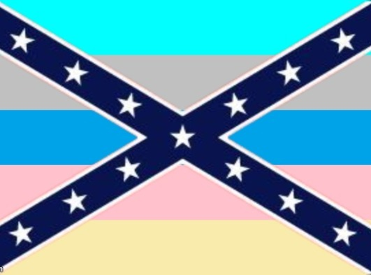 weeaboo degeneracy flag Blank Meme Template