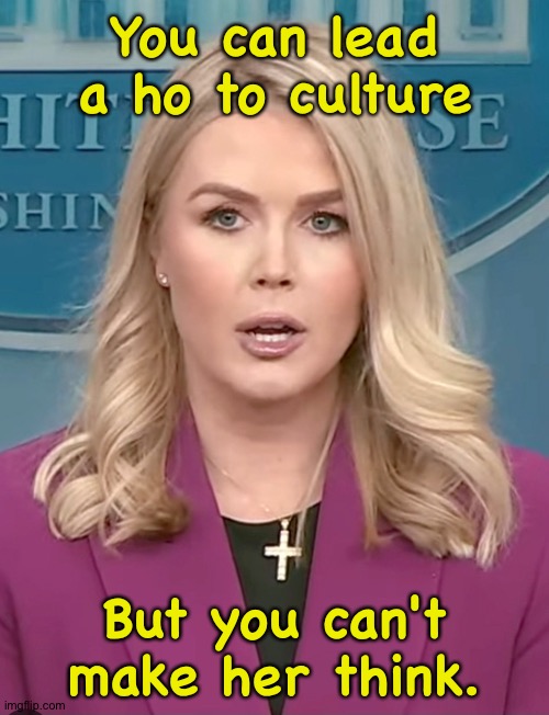 Karoline Leavitt | You can lead a ho to culture But you can't make her think. | image tagged in karoline leavitt | made w/ Imgflip meme maker