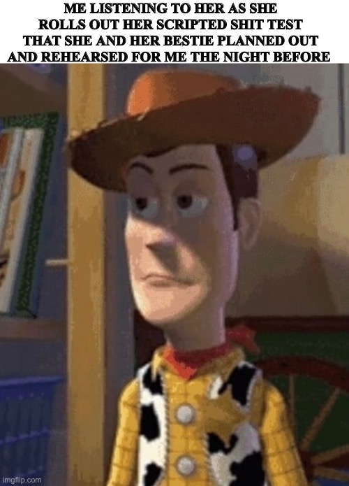 ME LISTENING TO HER AS SHE ROLLS OUT HER SCRIPTED SHIT TEST THAT SHE AND HER BESTIE PLANNED OUT AND REHEARSED FOR ME THE NIGHT BEFORE | image tagged in fun | made w/ Imgflip meme maker