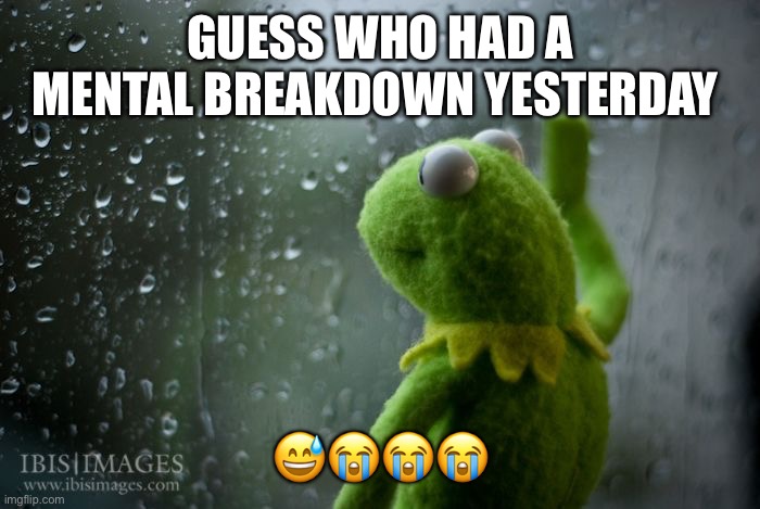 kermit window | GUESS WHO HAD A MENTAL BREAKDOWN YESTERDAY; 😅😭😭😭😭 | image tagged in kermit window | made w/ Imgflip meme maker
