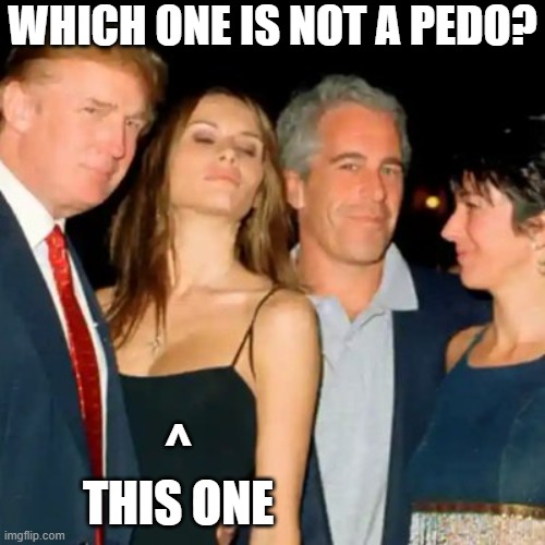WHICH ONE IS NOT A PEDO? ^
THIS ONE | image tagged in trump epstein | made w/ Imgflip meme maker