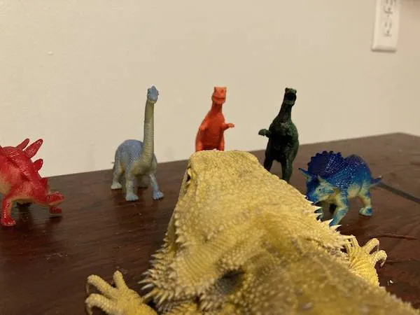 plastic dinosaurs Blank Meme Template