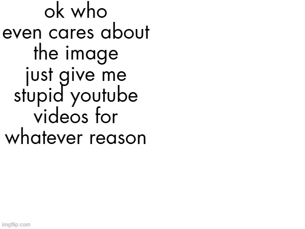 ok who even cares about the image just give me stupid youtube videos for whatever reason | made w/ Imgflip meme maker