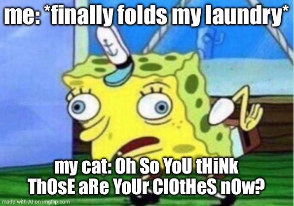 Mocking Spongebob Meme | me: *finally folds my laundry*; my cat: Oh So YoU tHiNk ThOsE aRe YoUr ClOtHeS nOw? | image tagged in memes,mocking spongebob | made w/ Imgflip meme maker