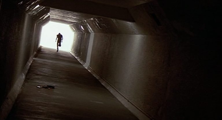 BODY DOUBLE (1984) Blank Meme Template