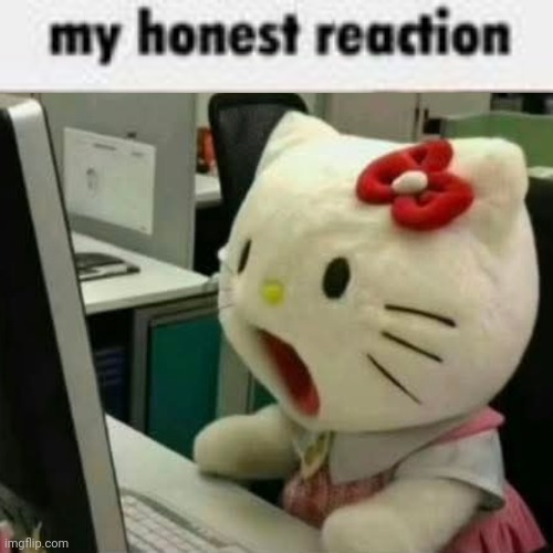 My Honest Reaction | image tagged in my honest reaction | made w/ Imgflip meme maker