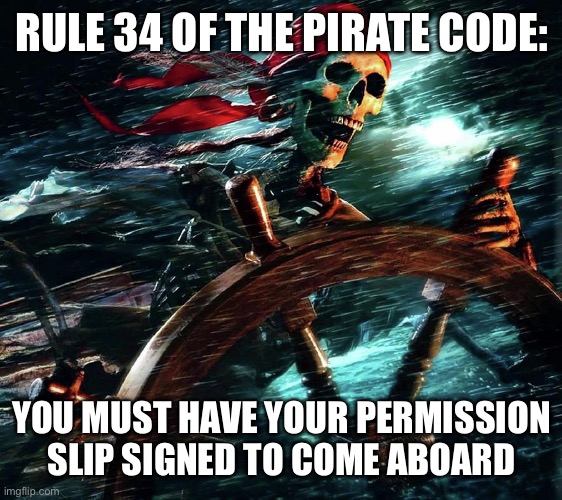 . | RULE 34 OF THE PIRATE CODE:; YOU MUST HAVE YOUR PERMISSION SLIP SIGNED TO COME ABOARD | image tagged in pirate skeleton on the storm | made w/ Imgflip meme maker