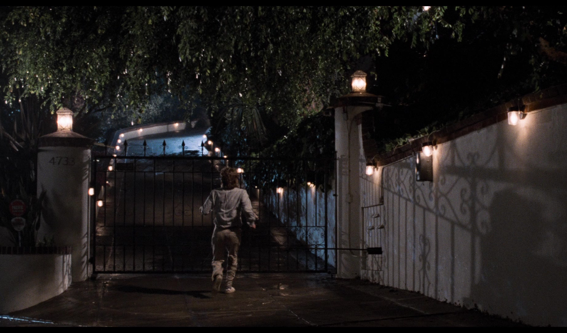 BODY DOUBLE (1984) Blank Meme Template