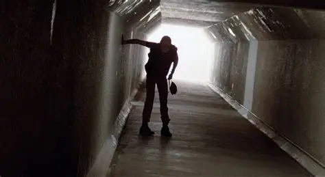 BODY DOUBLE (1984) Blank Meme Template